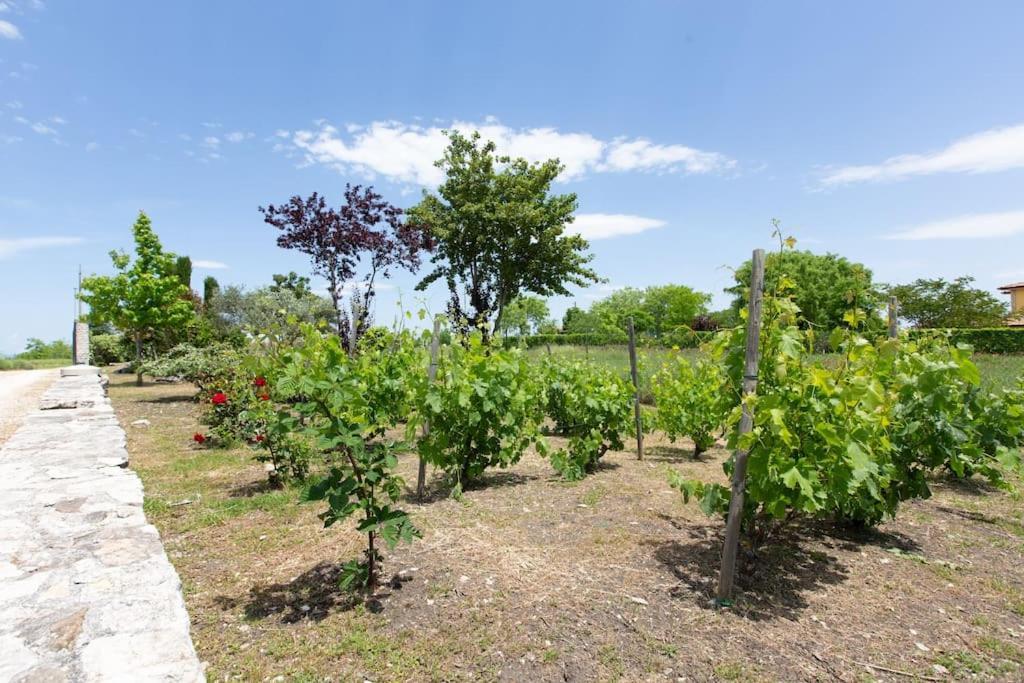Villa Ruffo Campobasso Esterno foto